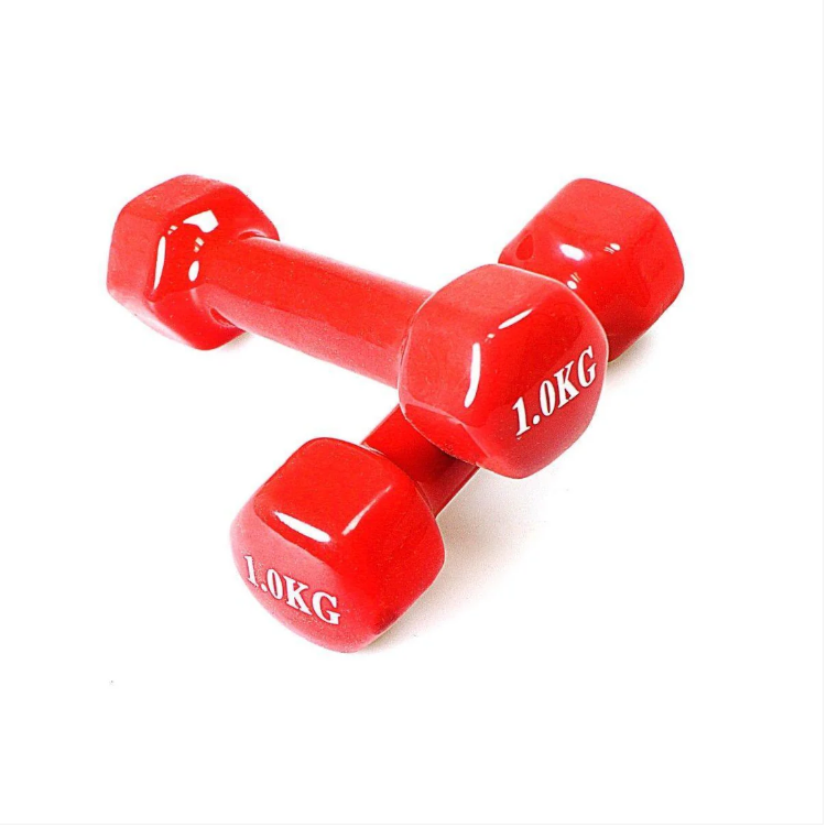 1 Piece Vinyl Fitness Dumbbell 1kg For Fitness Boxing Home Gym