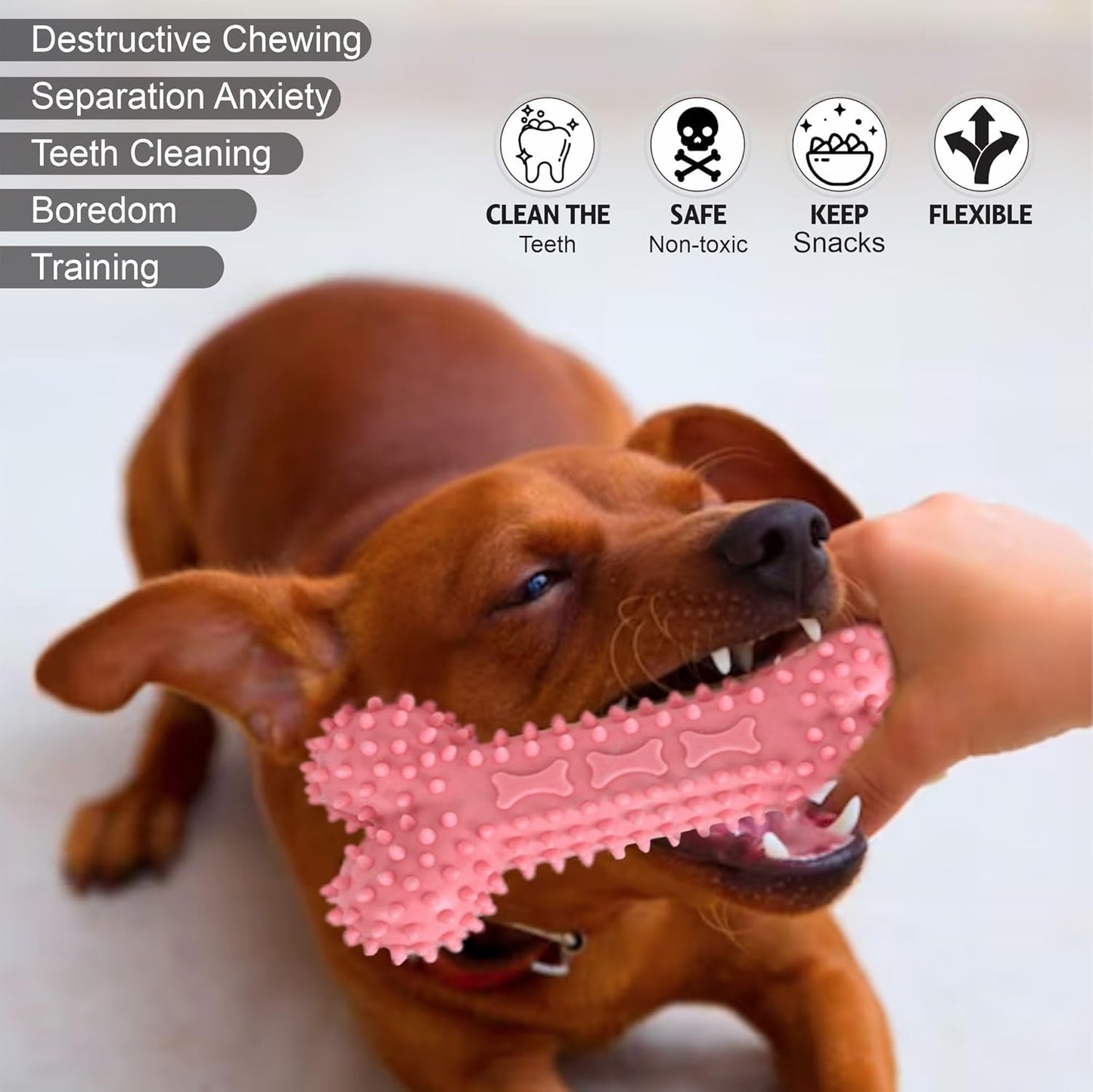 Puppy Teething Toys Spinning Ring & Rubber Bone