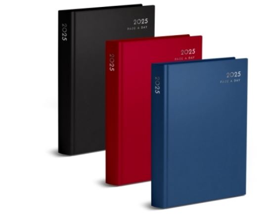 A6 Page a Day Classic Diary (Half Page Weekends) in CDU