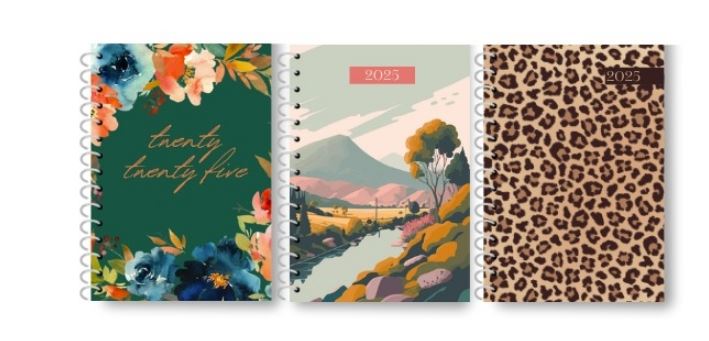 A6 Page a Day Graphic Spiral Diary, 3 asst in CDU