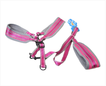 Assorted Colour Dog Leash and Strap Adjustable Long Leash 1 Pack