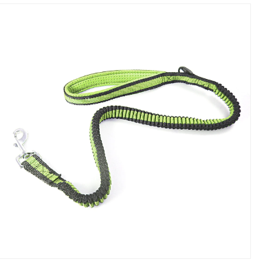 Dog Collar Flexible Dog Leash Stretchy Dog Leash Pets