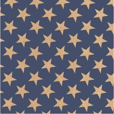 Eco Kraft Giftwrap Assorted Designs 2m x 70cm