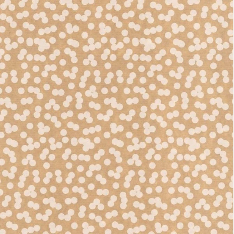 Eco Kraft Giftwrap Assorted Designs 2m x 70cm