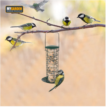 Fat Ball Bid Feeder Attracts A Wide Variety Of Birds Garden Outdoors