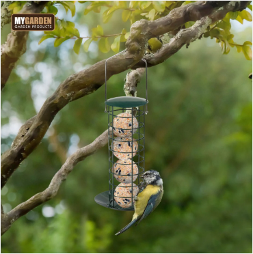 Fat Ball Bid Feeder Attracts A Wide Variety Of Birds Garden Outdoors