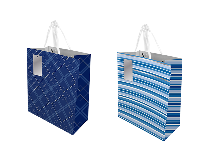 Father's Day Medium Gift Bag