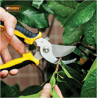 Giant Garden Tool Set Outdoors