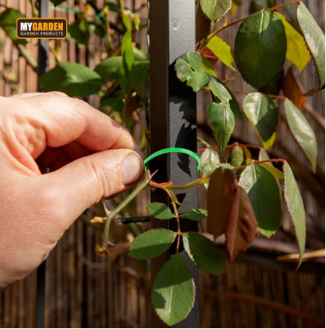 Giant Garden Tool Set Outdoors