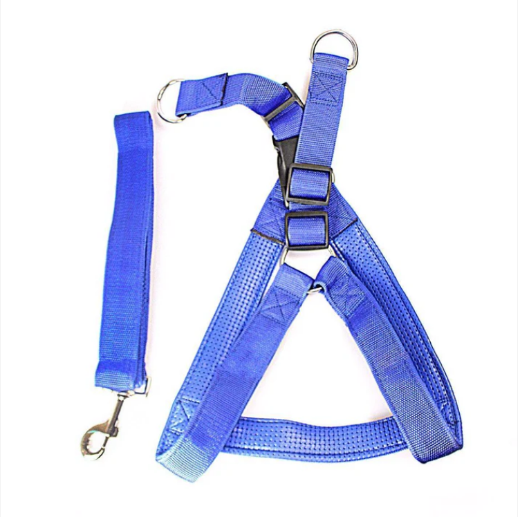 Heavy Duty Dog Harness Big Nylon Belt With Harness Attached In Blue And Red Pet