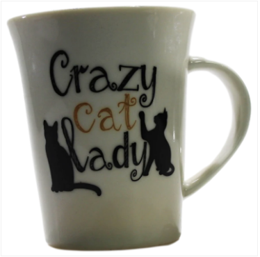 Kitchen Mug Assorted Designs 11 x 9 x 11 cm