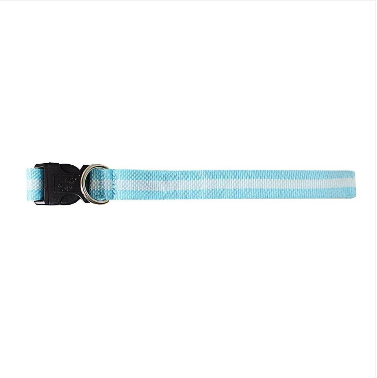 LED Light Up Dog Collar With Buckle Assorted Colours