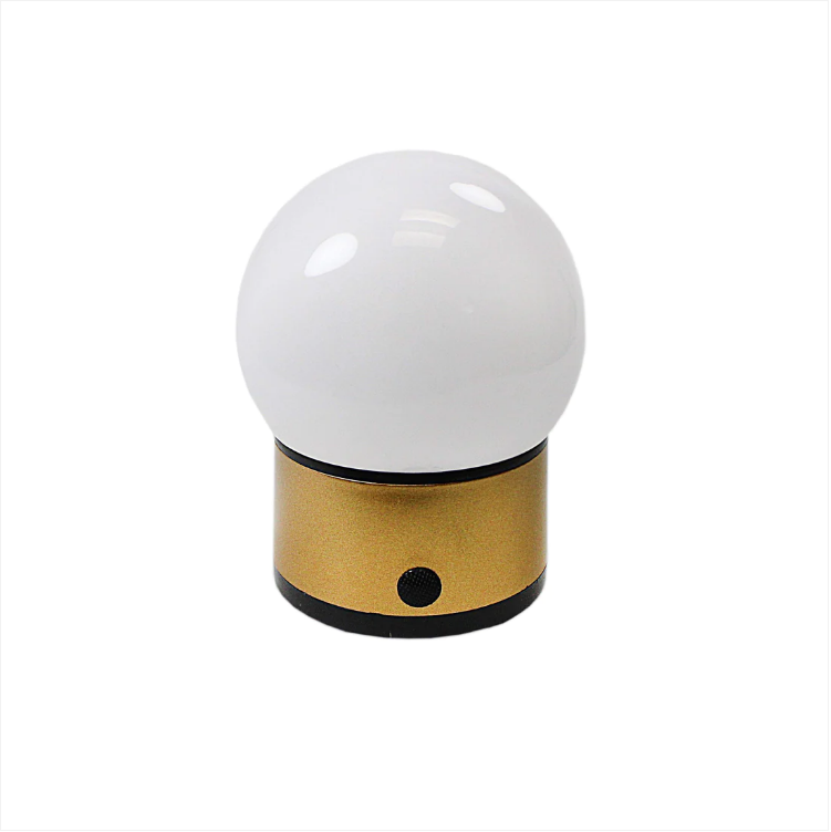 LED Round Globe Style Battery Operated Lamp Light