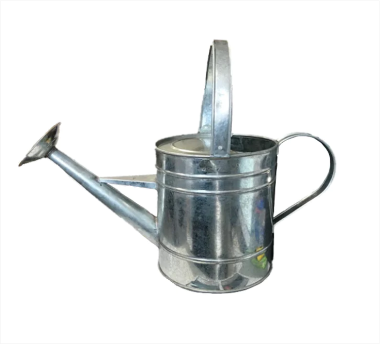 Metal Garden Plant Watering Can 20 cm