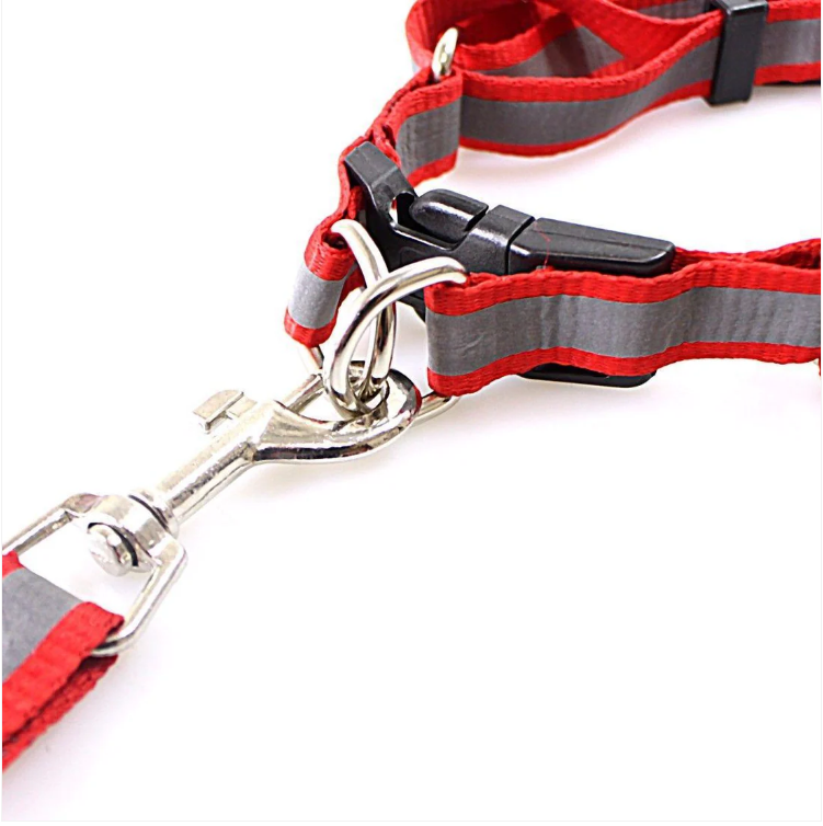 Nylon Bright Lightweight & Reflective Dog Leash With Extra Strong Harness Pet