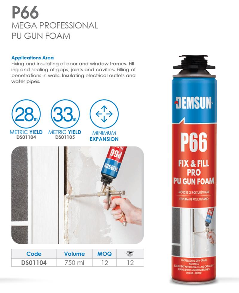P66 PROFESSIONAL FOAM 750ML