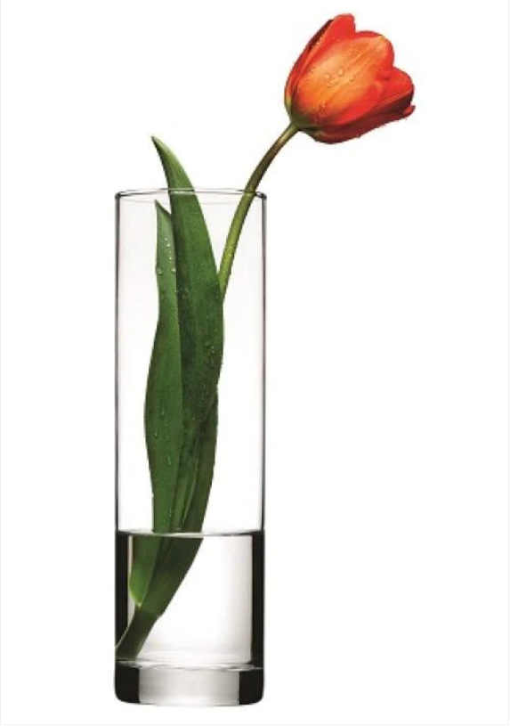 PB BOTANICA Fancy High Quality Glass Vase Ideal For Flowers 30cm