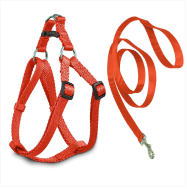 Pet Dog Leash Harness In Red And Black
