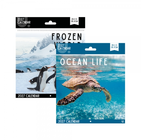 Square Calendar Ocean Life & Frozen World, 2 Asst