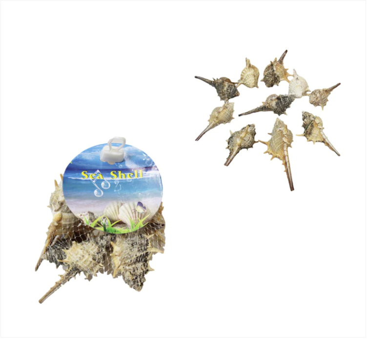 10 Piece Seashells Beach Fish Tank Display Assorted Seashells