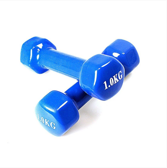 1 Piece Vinyl Fitness Dumbbell 1kg For Fitness Boxing Home Gym