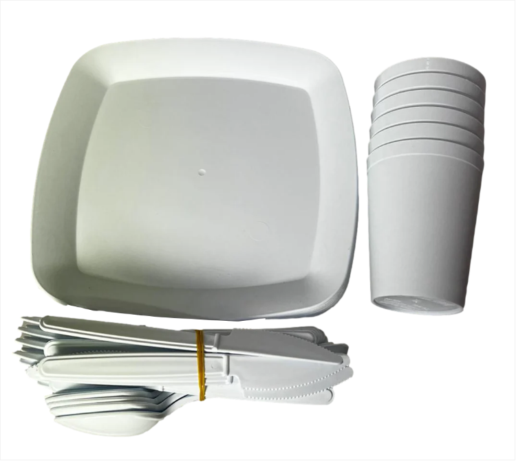 32 Pc Picnic Set 6 Place Setting With Carrying Container Random Colour Sent