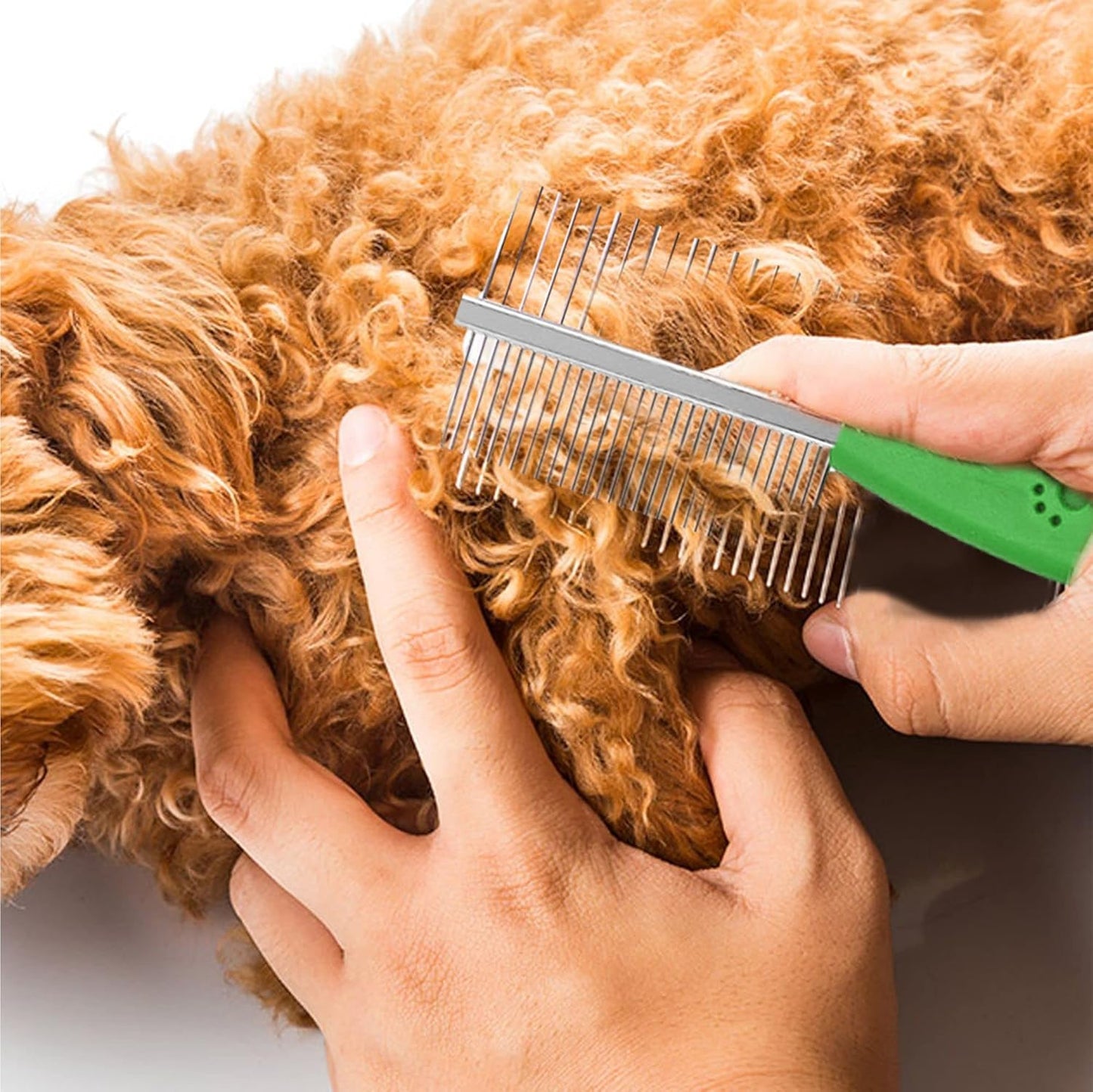 Dog Detangler Brush With Handle Pet Comb Metal Teeth