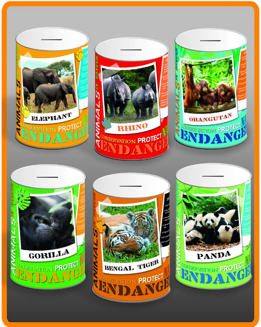 6 Assorted Styles Endangered Species Money Tin 145mm x 110mm