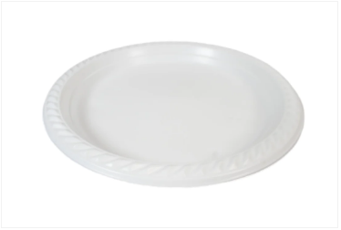 9" White Plastic Plates For Picnics Birthdays Parties Pack of 100