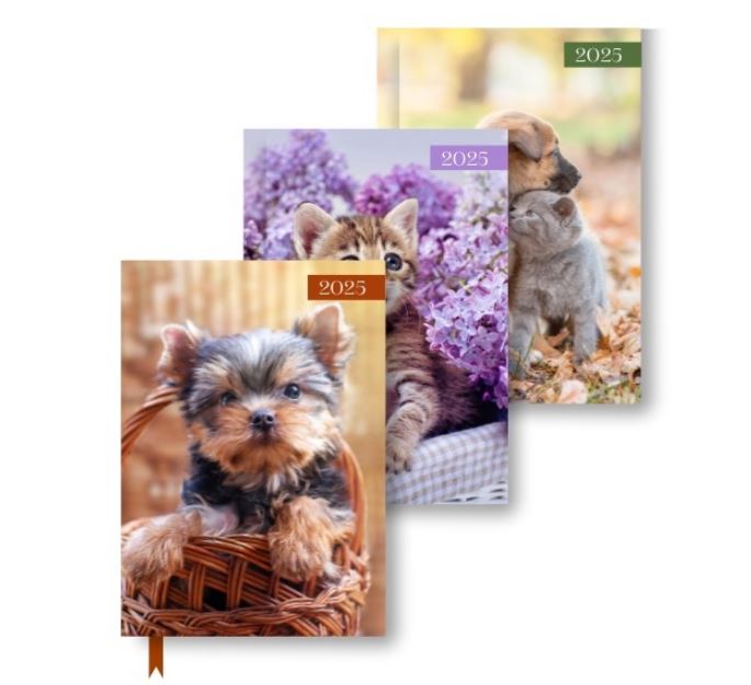 A5 WTV Patterned Diary - Cats & Dogs in CDU
