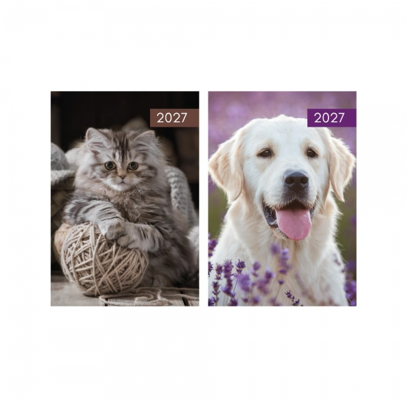 A5 WTV Patterned Diary - Cats & Dogs in CDU