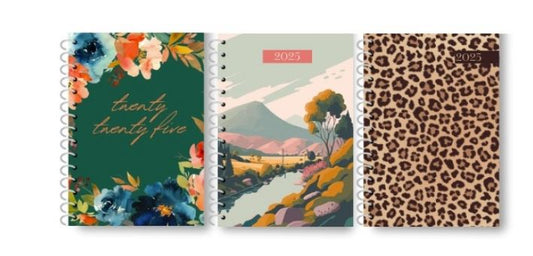 A6 Page a Day Graphic Spiral Diary, 3 asst in CDU
