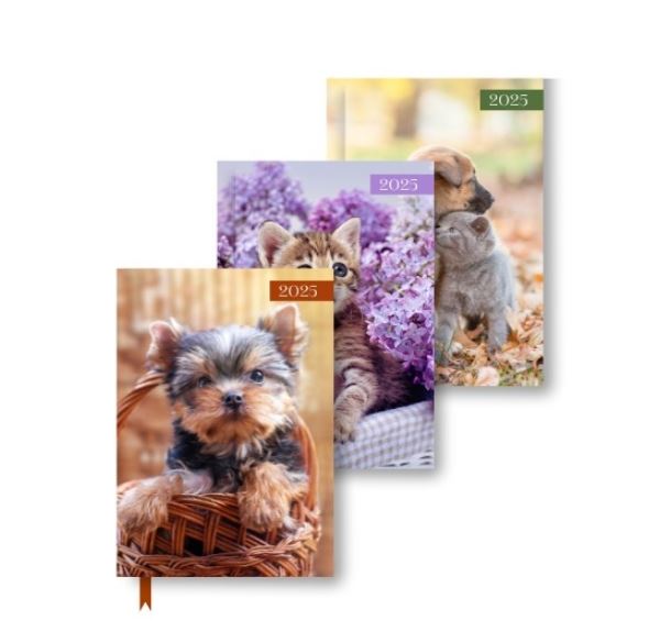A6 WTV Patterned Diary - Cats & Dogs in CDU