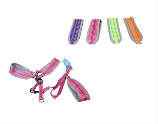 Assorted Colour Dog Leash and Strap Adjustable Long Leash 1 Pack