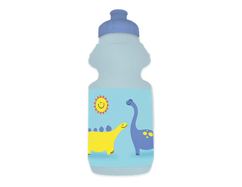 Boys Printed Sports Water Bottle 500ml