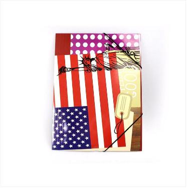 CITY DESIGNED CARRY FOLDER