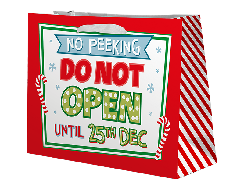 Christmas Cute Luxury Large Gift Bag