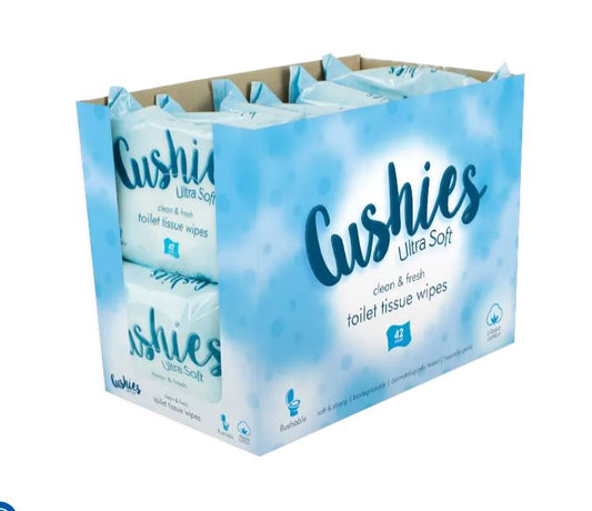 Classic Toilet Wipes - 42 Pack (With PDQ)