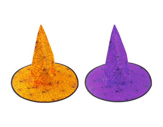 Cobweb and spiders witches hat