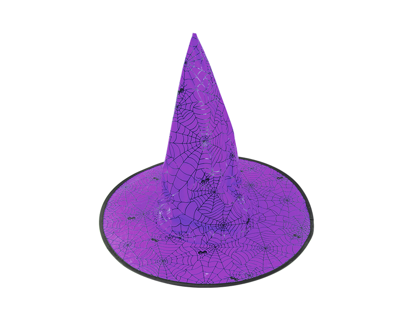 Cobweb and spiders witches hat