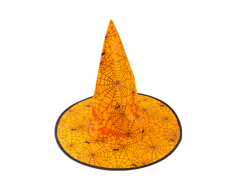 Cobweb and spiders witches hat