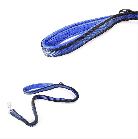 Dog Collar Flexible Dog Leash Stretchy Dog Leash Pets
