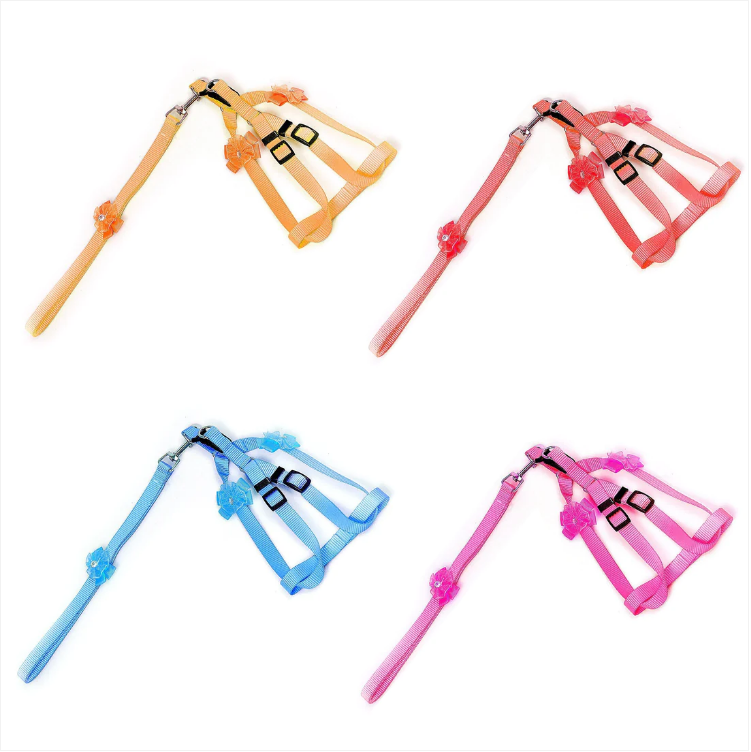 Dog Lead One Pack Adjustable Available in 4 Colours
