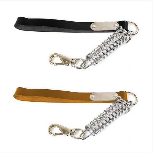 Dog Leash Buckle Buffer