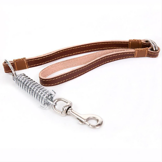 Dog Leash Buckle Buffer Pets