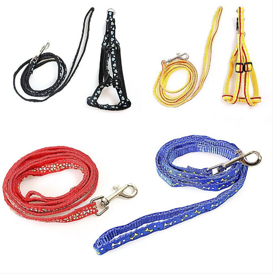 Dog Leash Lead with Harness Printed Designs Assorted Colours and Designs