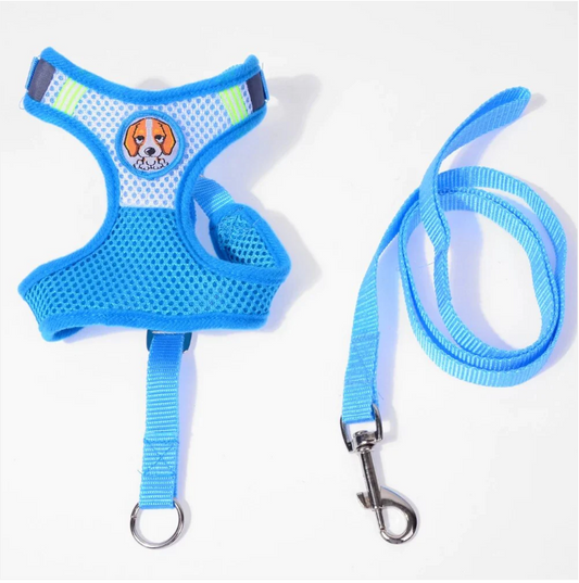 Dog Leash Reflective With Soft Harness Vest Size Large Assorted Colours 93cm