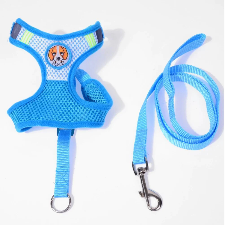 Dog Leash Reflective With Soft Harness Vest Size Small Assorted Colours 93cm