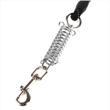 Dog Leash Rope Foam Grip Steel Spring Buckle Clip Assorted Colours