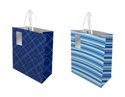 Father's Day Large Gift Bag